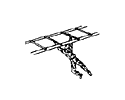 Illustration of Tarzan