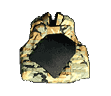 Photo of Interceptor Body Armor